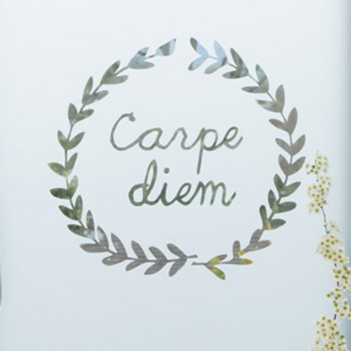 Carpe Diem