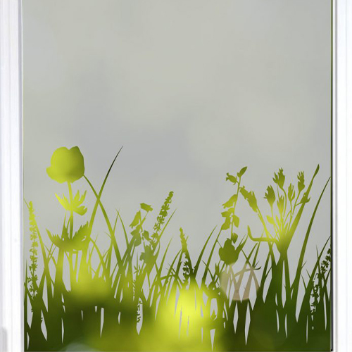 Grass and Birds