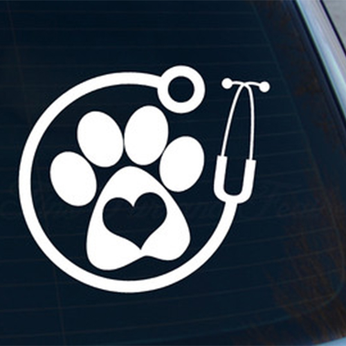 Paw Stethoscope