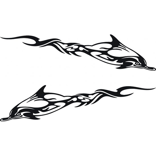 Firey Dolphins