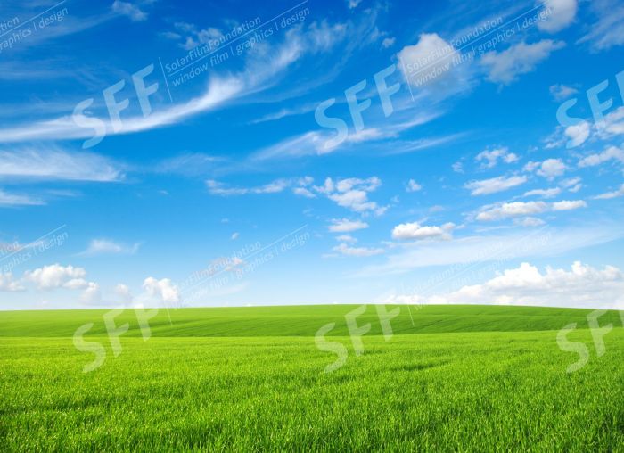 WA000113