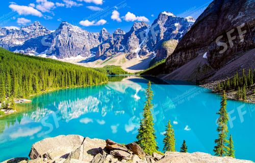 Nature and Wildlife Wallpapers