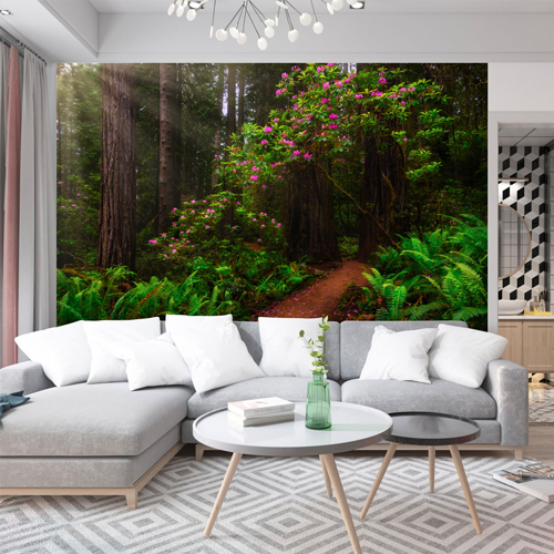 Enchanted Forest