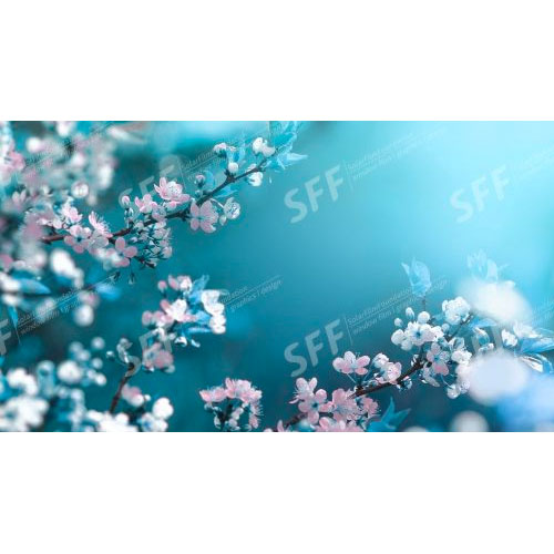Beautiful floral spring abstract background of nature