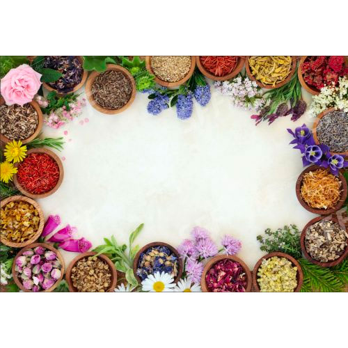 Medical herb & flower border with fresh dried herbs and flowers