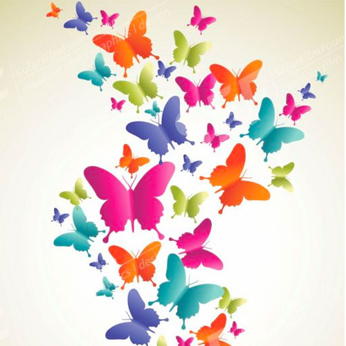 Spring butterfly color composition
